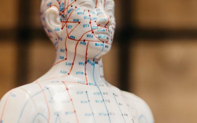 O que são Meridianos na Acupuntura?